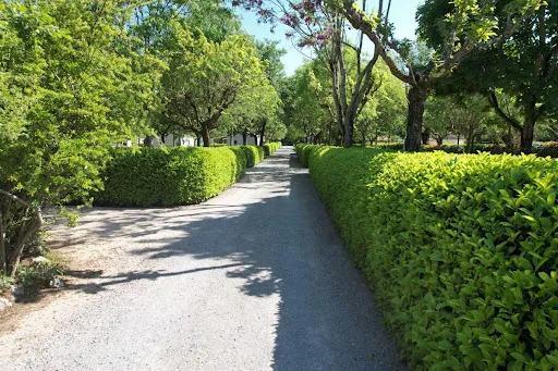 Propriété