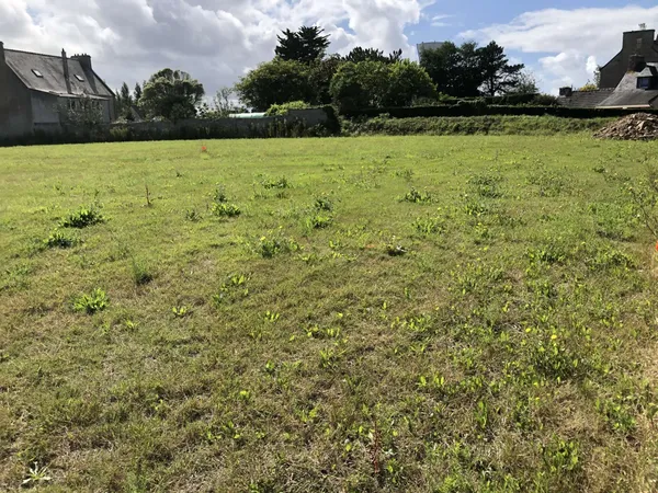 Terrain 420 m²