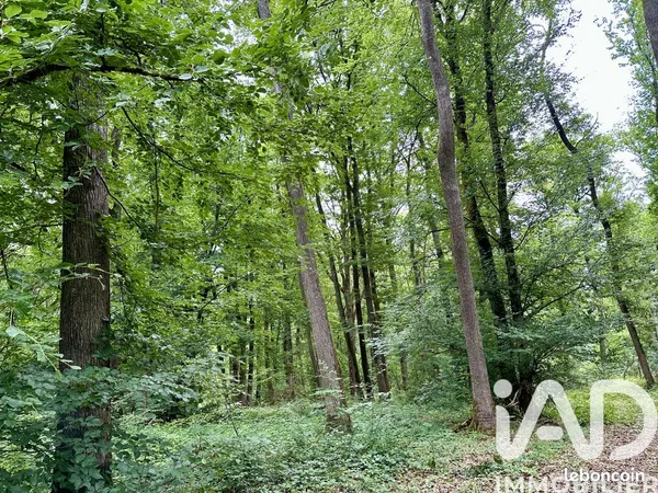 Terrain 133671 m² Charenton-du-Cher