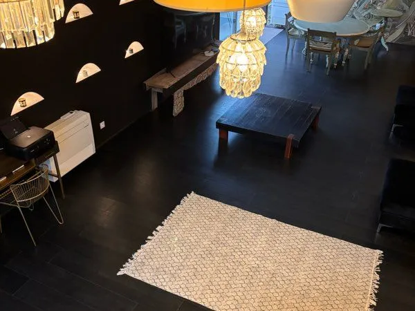 Loft à louer