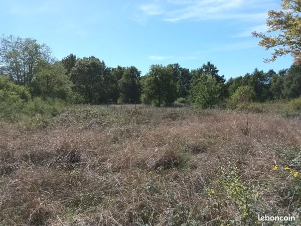 Terrain de loisirs