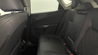 Lexus Nx 450h+ Executive 4WD — photo 13