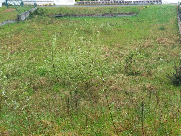 Terrain de 878m² entre forêt et plage
