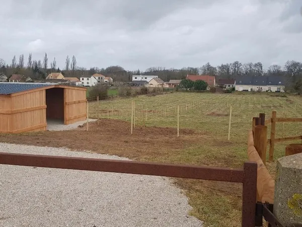 Terrain pour chevaux à louer ou à vendre
