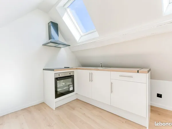 Magnifique appartement type F2 mansardé, neuf de 25m² Carrez et 54 m² au sol situé en plein centre-v