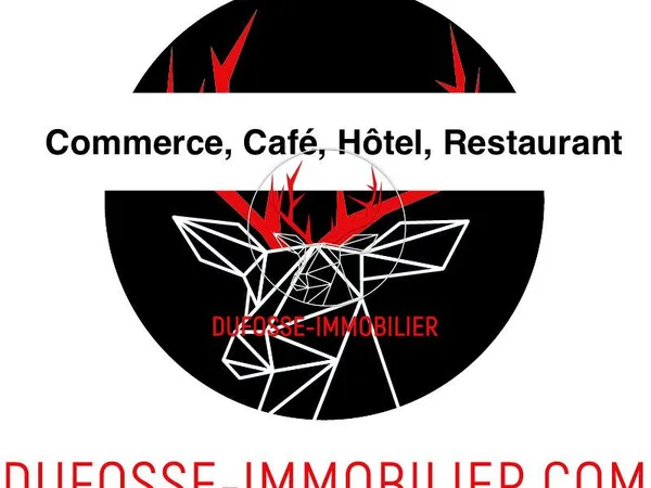 Bar 179 m² VILLEFRANCHE SUR SAONE