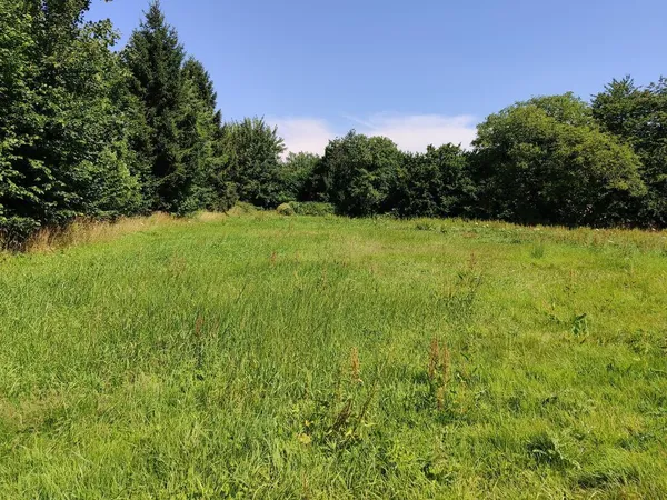 DEUX MAGNIFIQUES PARCELLES