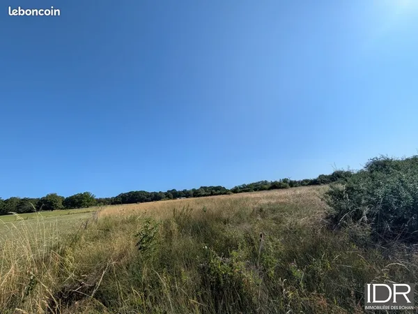 Terrain 19 m² Sarrebourg