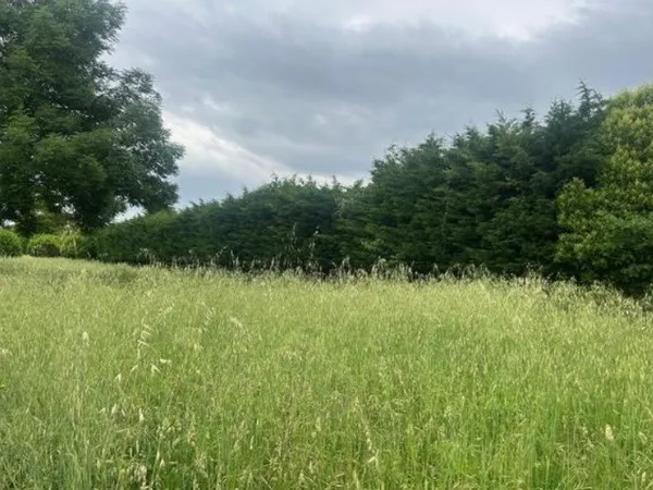 Terrain 340 m²