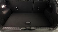 Ford Puma 1.0 EcoBoost 125ch S&S mHEV Titanium Powershift — photo 14