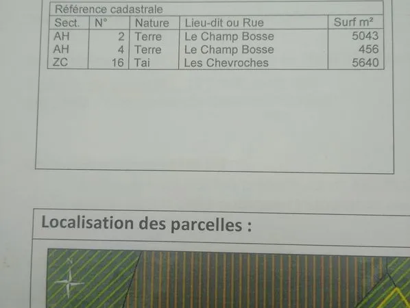 Terrain 1 hectare