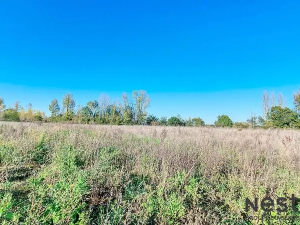 A Vendre Terrain Plat de 4400 m² vue imprenable sur les Pyrénées Environnement Campagne Secteur Caze