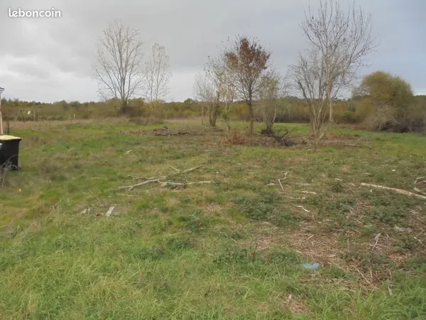 Terrain constructible