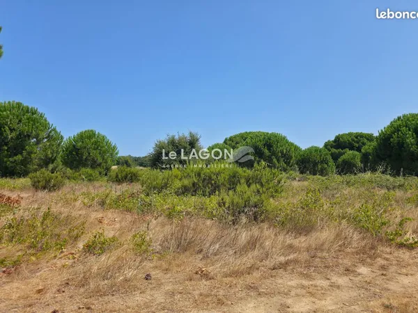 Terrain 296 m² Latour-Bas-Elne