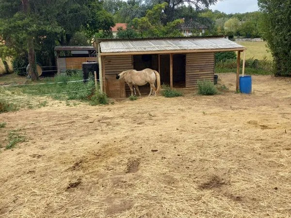 Pré / Pâture et box pour 2 chevaux - 250 euros par mois