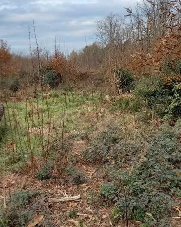 Terrain 12000 m² a Martillac