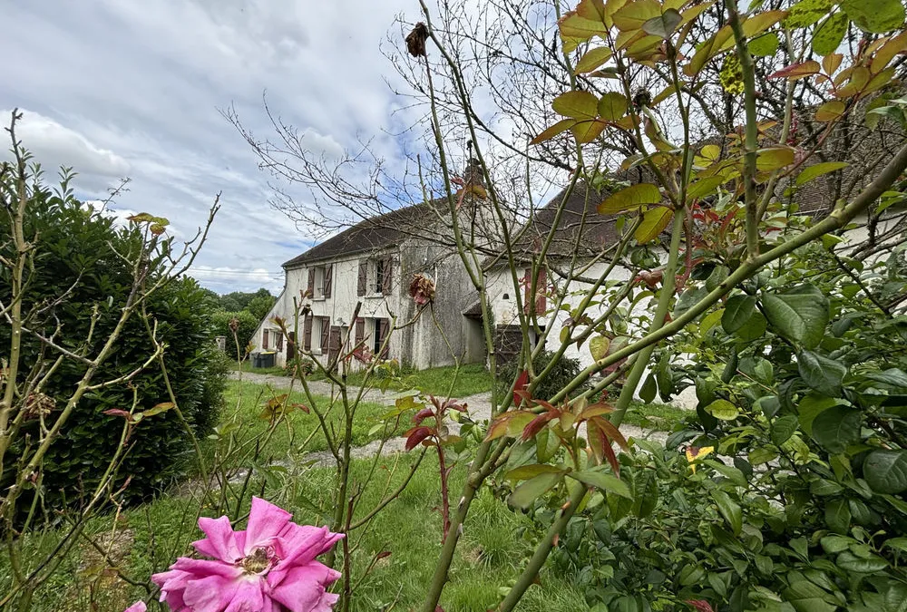 Photo 20