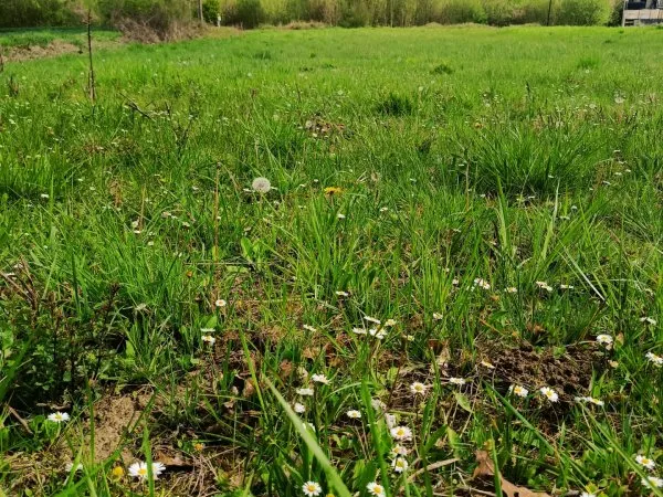Terrain 1458 m²