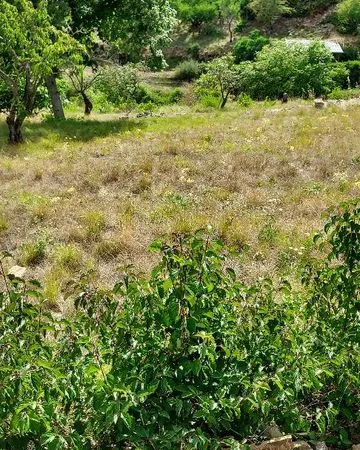 Terrain 1037 m²
