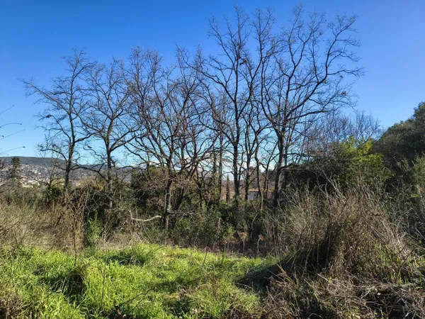 Terrain à bâtir de 916 m² à DRAGUIGNAN (83)