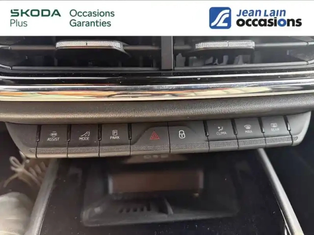 Skoda Enyaq iv 85x — photo 20