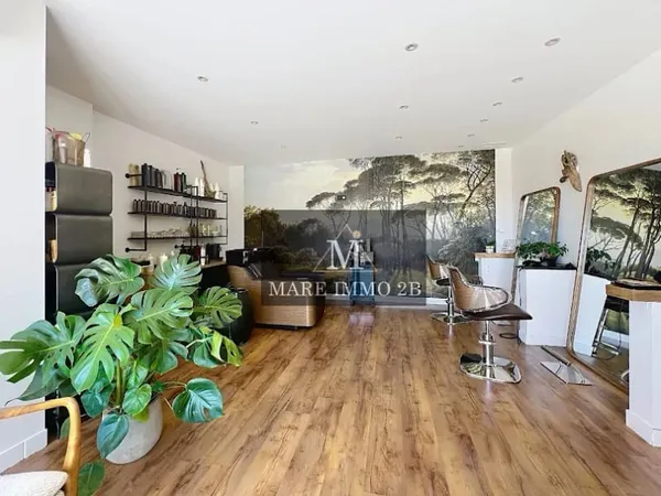 Commerce 1 pièce 29 m²