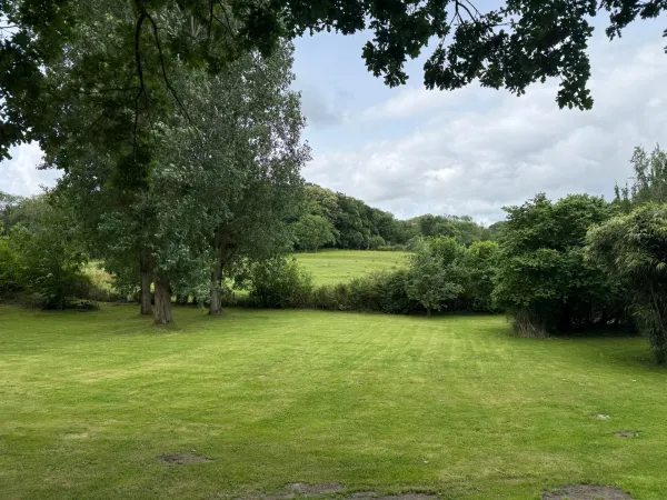 Terrain 980 m²