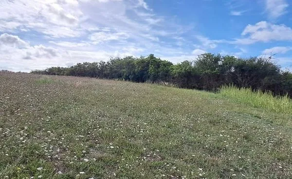 Terrain 849 m²