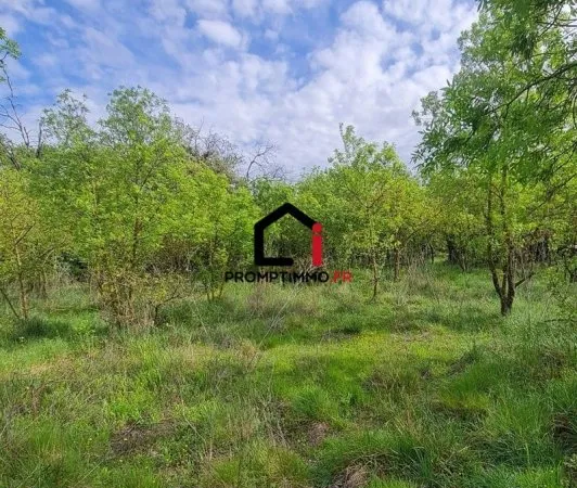Terrain 6000 m²