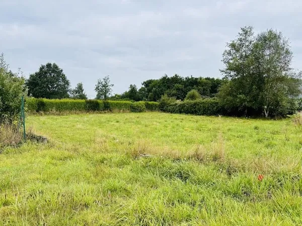 Terrain 462 m²