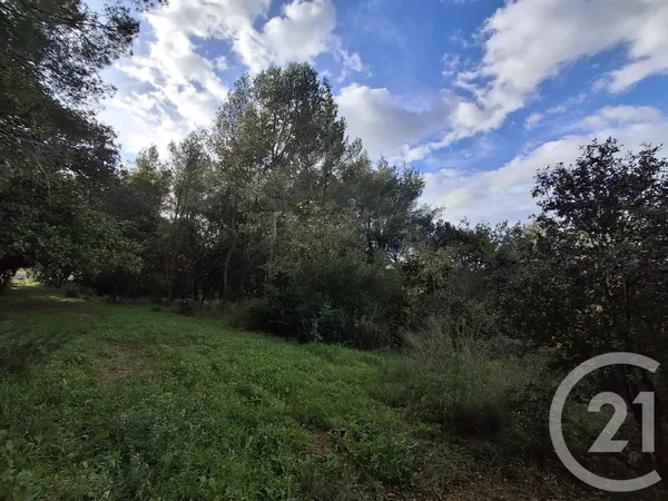 Terrain 57542 m²