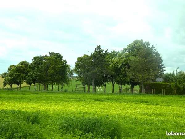 Terrain 629 m²