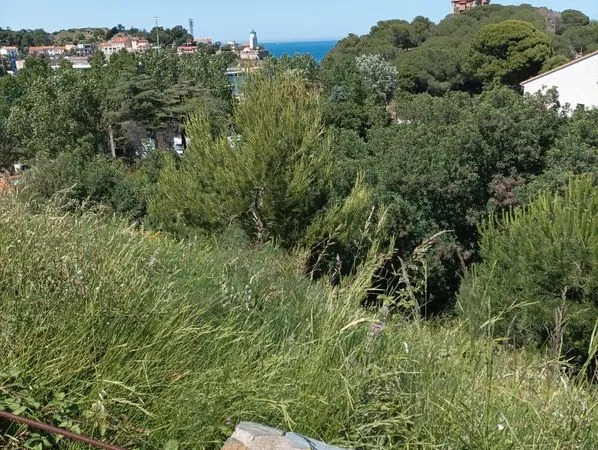 Terrain viabilisé vue mer