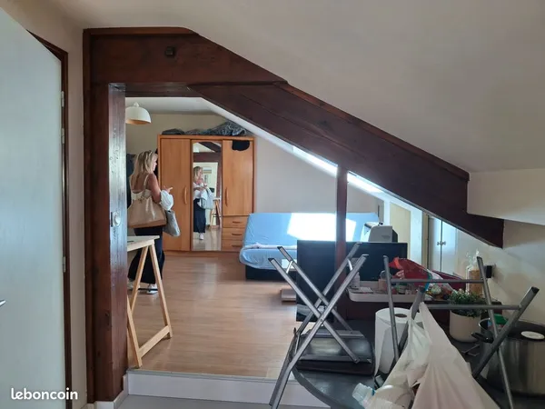 Studio meublé 23,48 m² Carrez - près de 32 m² au sol