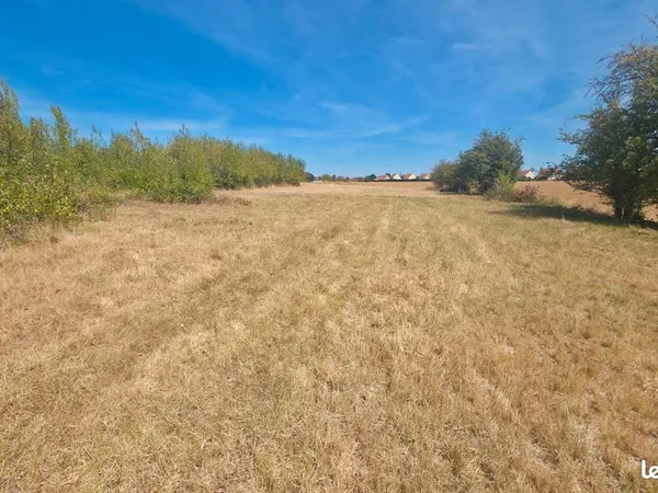 Location pâture