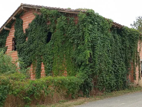 Maison en ruine