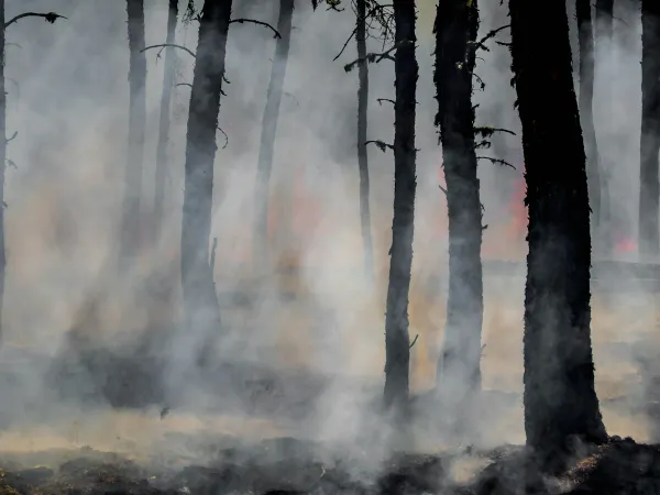 Incendies de Gironde, des Landes et du Var : il reste jusqu'au 31 août pour déclarer, et ce n'est pas la garantie catastrophe naturelle qui joue