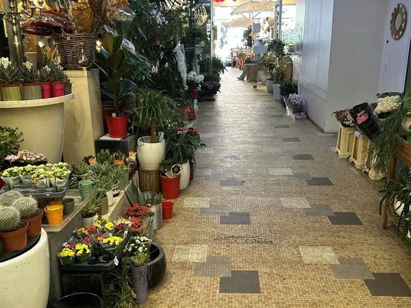 Boutique 50 m²