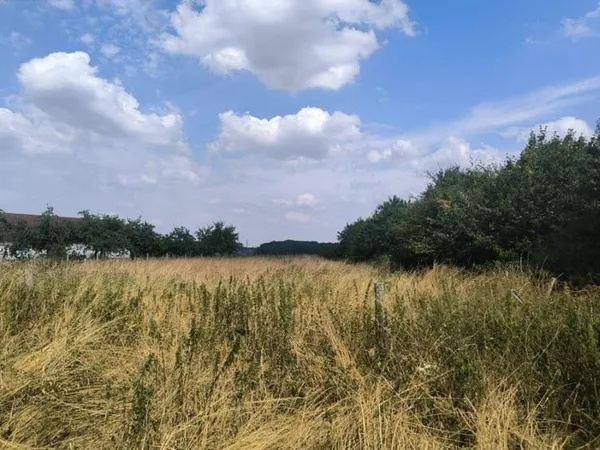 Terrain 1898 m²