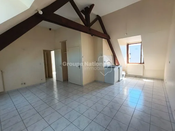 Appartement rare - rue de la Scellerie à Tours