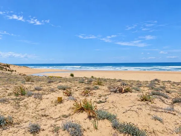 Exceptionnel, maison en viager sur la plage - occupation 4 ans