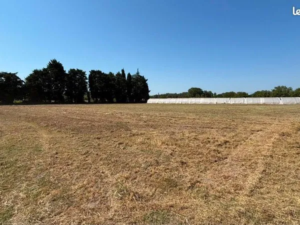 Terrain Vente Pernes-les-Fontaines  6000m² 250€