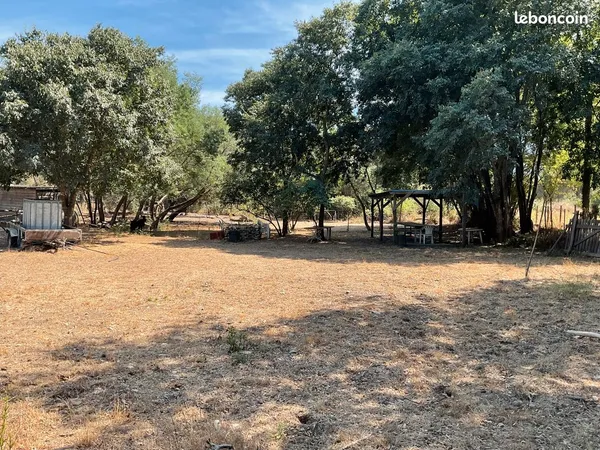 Terrain pour animaux
