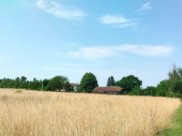 Terrain 1750 m²