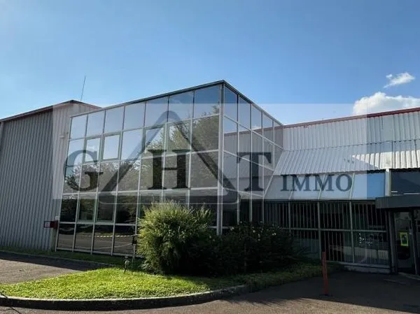 Local bureaux 3 077 m²