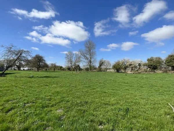 Terrain 950 m²