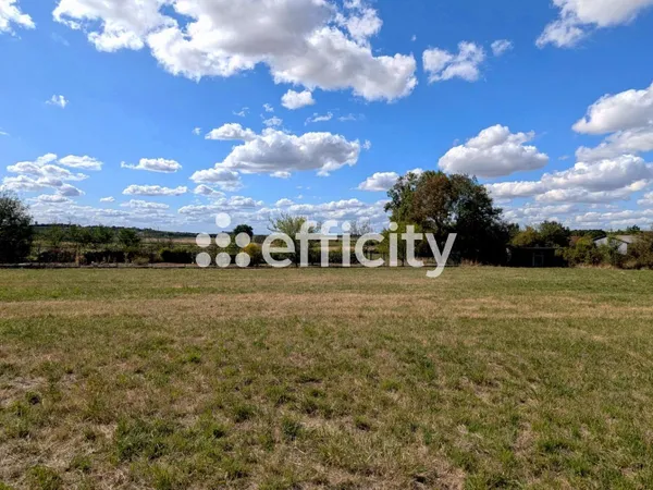 Terrain 6590 m²