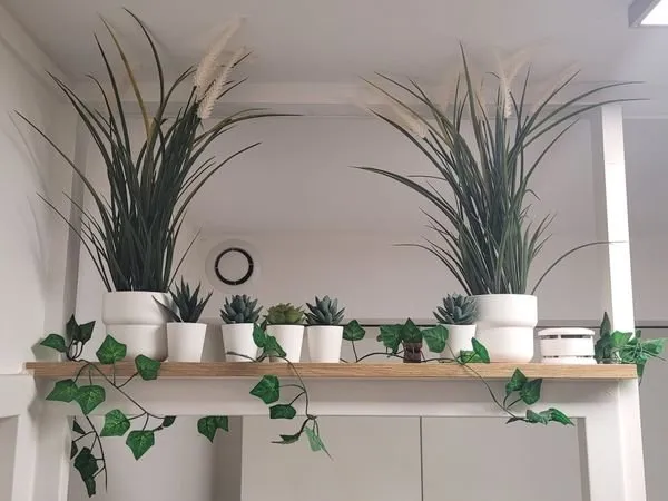Chambre étudiante en colocation