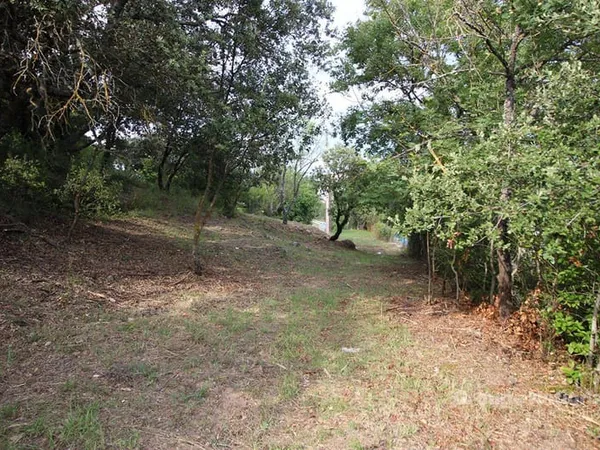 Terrain constructible 6300 m²