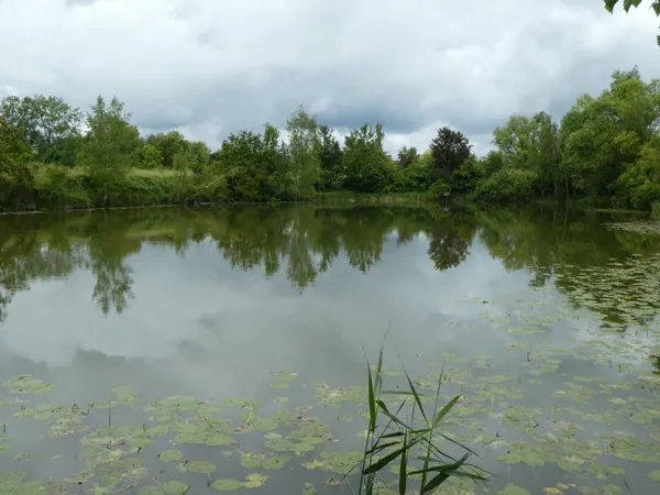 Propriété avec deux étangs de pêche près de Soissons
